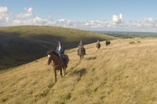 England-Dartmoor-The Dartmoor Cattle Drive